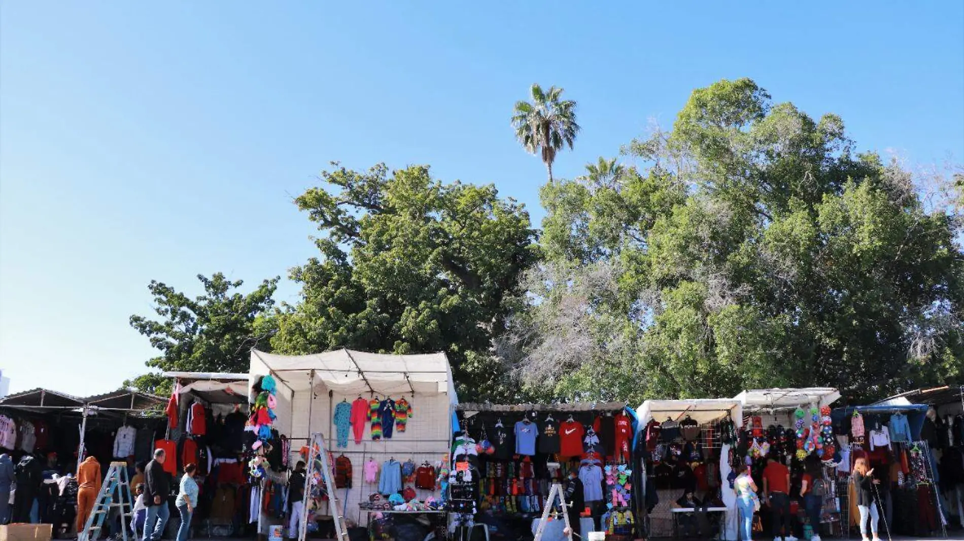 Tianguis Navideño 2021 en el Jardín Juárez  (2)